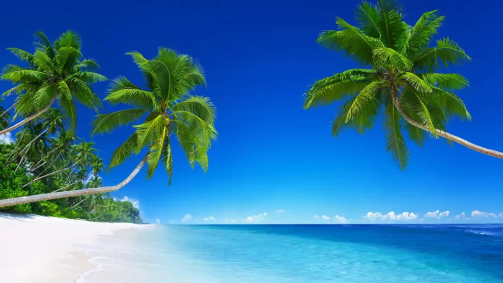 As principais atividades para se fazer na praia durante o verão! As principais atividades para se fazer na praia durante o verão!